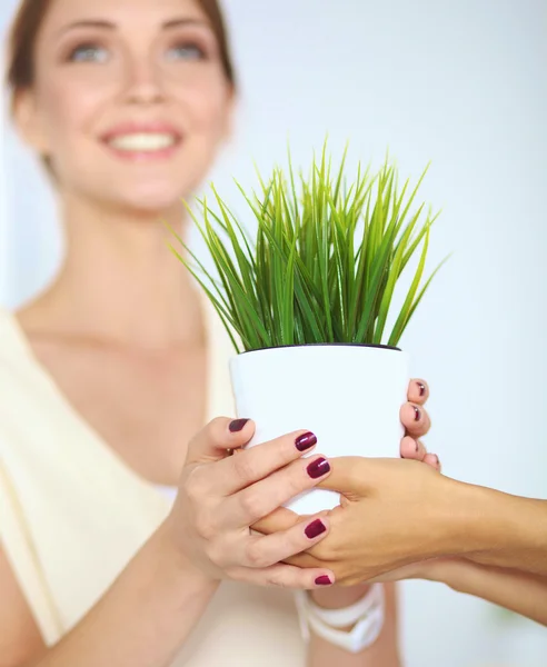 Primo piano di imprenditori mano che tiene l'erba insieme — Foto Stock