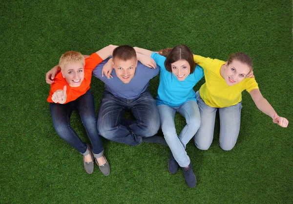 Group of young people sitting on green grass