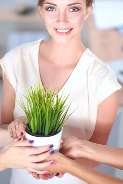 Krásná žena, držící hrnec s rostlinou, stojící na domácí — Stock fotografie