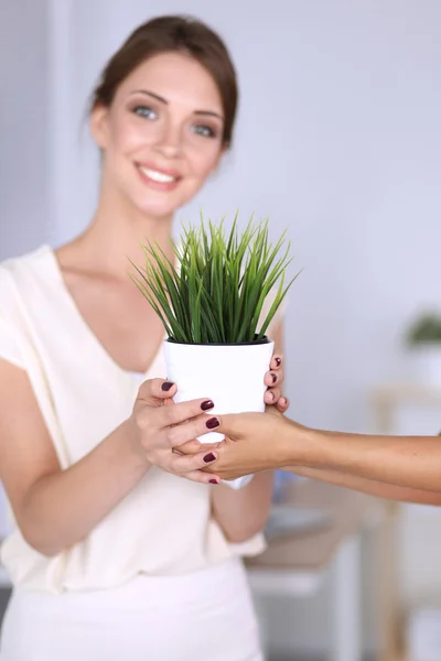 Belle femme tenant pot avec une plante — Photo