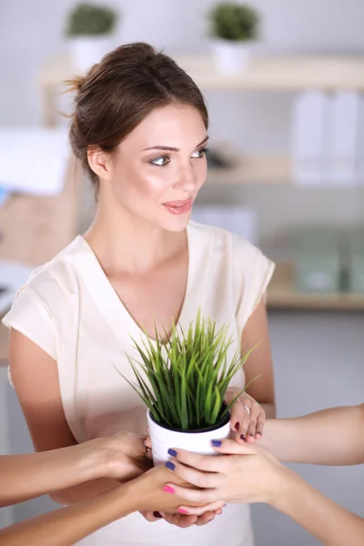 Mulher bonita que segura o potenciômetro com uma planta — Fotografia de Stock