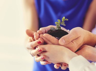 Bir grup iş adamı taze bir filizi tutuyor. Büyüyen ve yeşil ticaretin sembolü