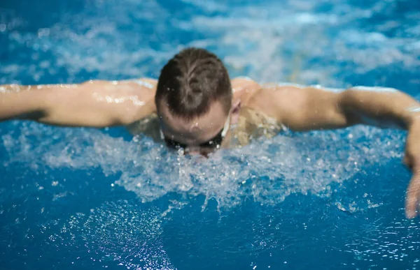 Male swimmer at the swimming pool. Underwater photo. Male swimmer. Royalty Free Stock Photos