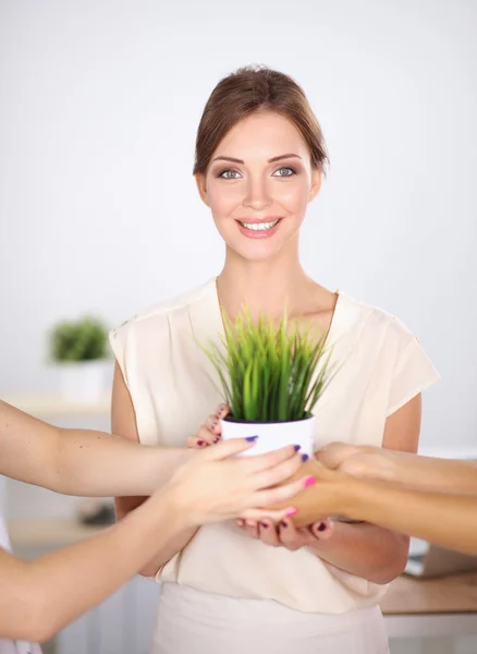 Closeup Of Businesspeople Hand Holding GrassTogether — Stock Photo, Image