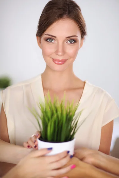 Closeup Of Businesspeople Hand Holding GrassTogether — Stock Photo, Image