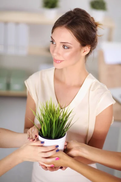 Closeup Of Businesspeople Hand Holding GrassTogether — Stock Photo, Image