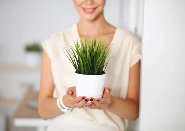 Belle femme tenant pot avec une plante, debout à la maison — Photo