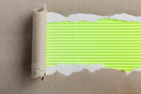 Rasgado de papel verde, isolado — Fotografia de Stock