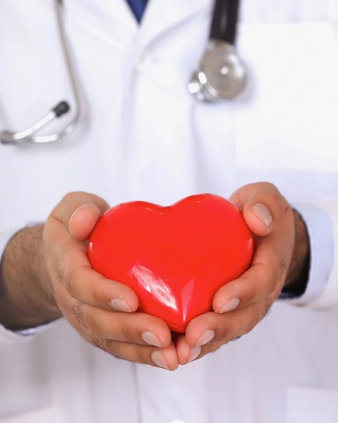 Male doctor with stethoscope holding heart. — Stock Photo, Image