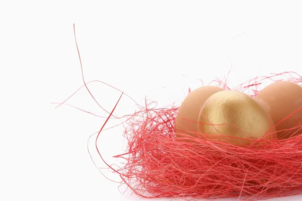 A golden egg in the nest — Stock Photo, Image