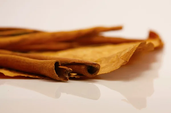 Palitos de canela envueltos — Foto de Stock