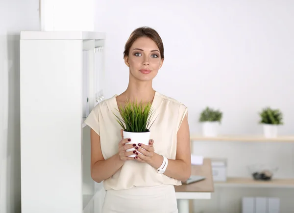 Mulher bonita que prende o potenciômetro com uma planta, estando em casa — Fotografia de Stock