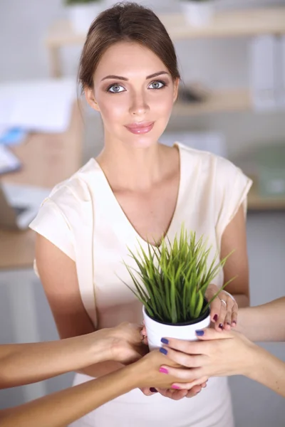 Beautiful woman holding pot with a plant, standing at home — Stock Photo, Image