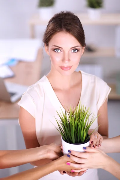 Belle femme tenant pot avec une plante, debout à la maison — Photo