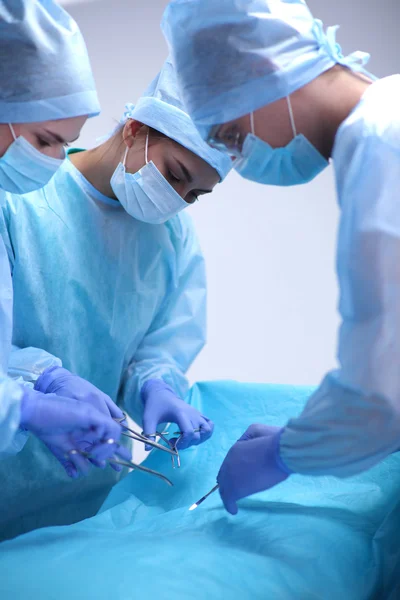 Team surgeon at work in operating — Stock Photo, Image