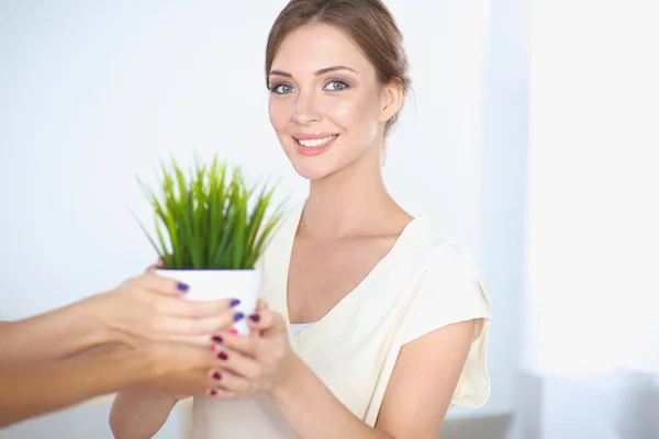 Closeup Of Businesspeople Hand Holding GrassTogether — Stock Photo, Image