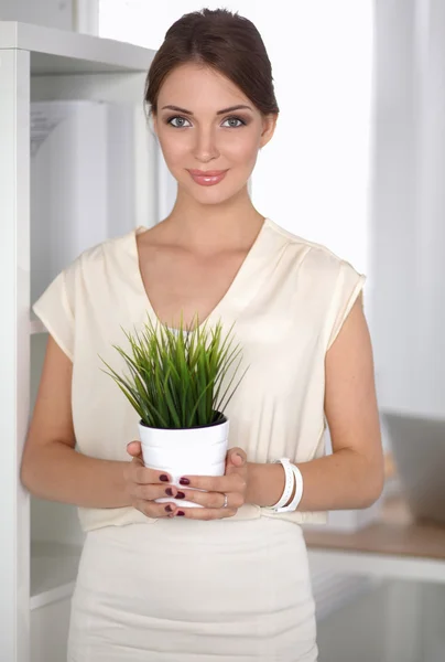 Beautiful woman holding pot with a plant — Stock Photo, Image