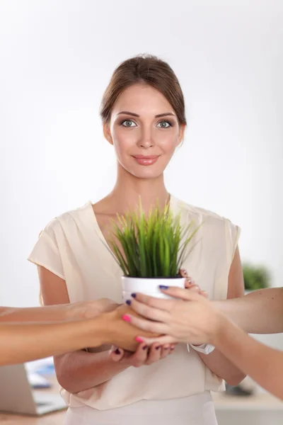 Hermosa mujer sosteniendo la olla con una planta, de pie — Foto de Stock