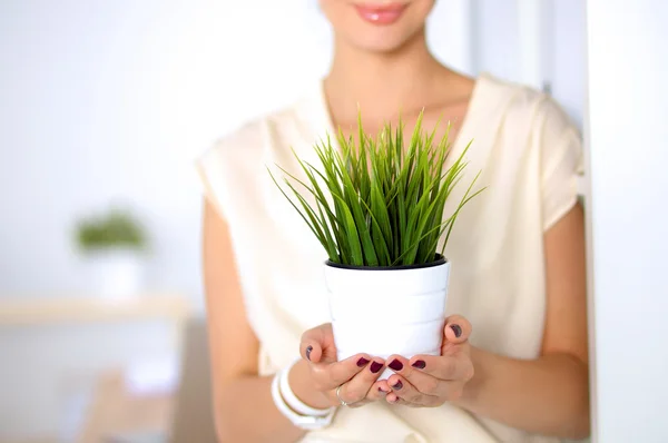 Belle femme tenant pot avec une plante — Photo