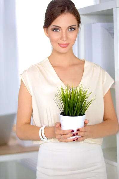 Beautiful woman holding pot with a plant — Stock Photo, Image