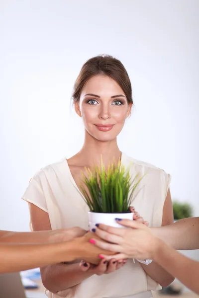 Beautiful woman holding pot with a plant, standing — Stock Photo, Image