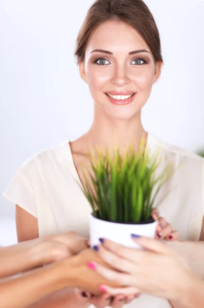 Beautiful woman holding pot with a plant, standing — Stock Photo, Image