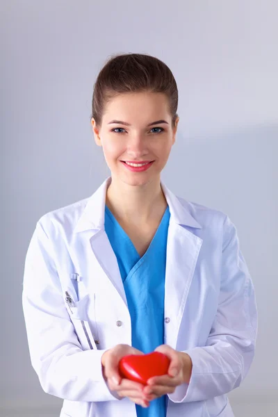 Young woman doctor holding a red heart, standing on gray background — Stock Photo, Image