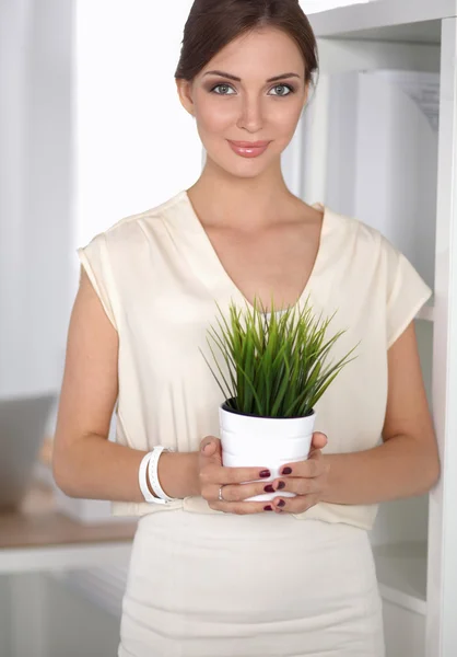 Hermosa mujer sosteniendo la olla con una planta — Foto de Stock