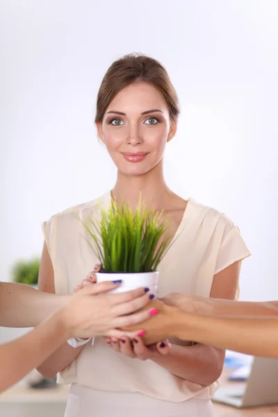 Hermosa mujer sosteniendo la olla con una planta, de pie — Foto de Stock
