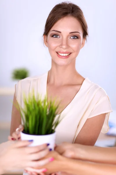Hermosa mujer sosteniendo la olla con una planta, de pie —  Fotos de Stock
