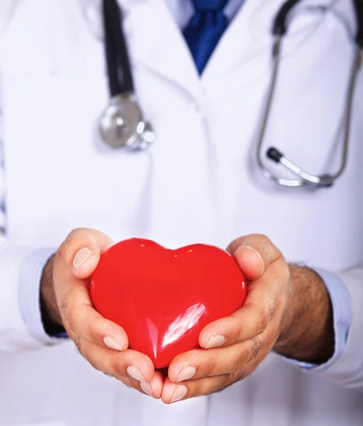 Male doctor with stethoscope holding heart — Stock Photo, Image