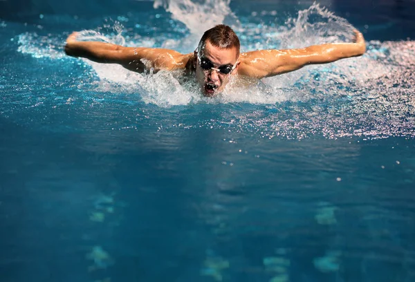 Male swimmer at the swimming pool — Stock Photo, Image