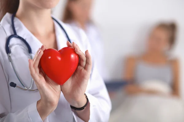 Young woman doctor holding a red heart, standing on gray background — Stock Photo, Image