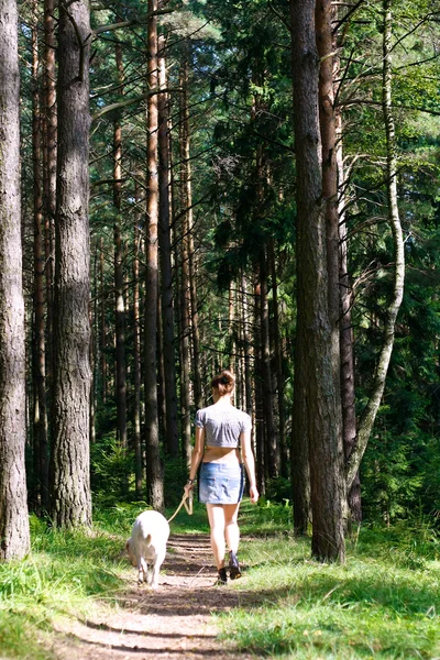 Köpeğini açık havada dinlenme ile kız — Stok fotoğraf