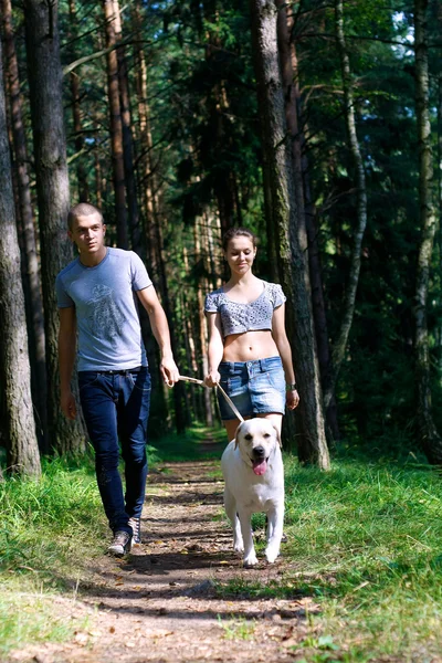 Junges Paar geht Hund spazieren — Stockfoto