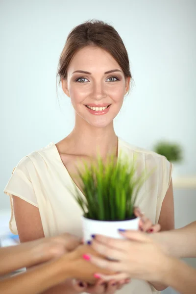 Schöne Frau im Topf mit einer Pflanze, stehend — Stockfoto