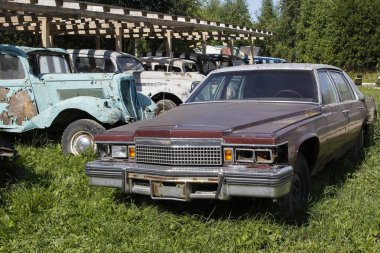 Eski terk edilmiş paslı araçlar, hurdalıkta ezilmiş arabalar. Arabalar geri dönüşüm konsepti.