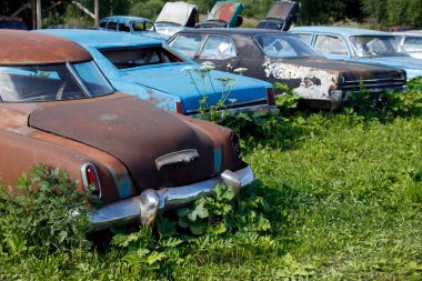 Eski terk edilmiş paslı araçlar, hurdalıkta ezilmiş arabalar. Arabalar geri dönüşüm konsepti.