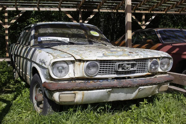 Moskvaregionen Ryssland Juni 2021 Gamla Övergivna Ford Mustang 1964 Utställningen — Stockfoto