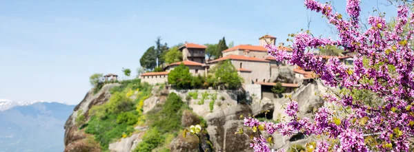 Panorama odaklanmamış büyük Meteoro Manastırı Meteora ve pembe çiçek dalı ile — Stok fotoğraf