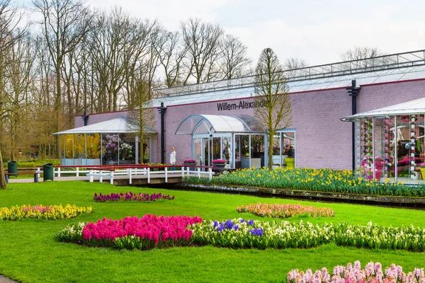 Padiglione Willem Alexander e i tulipani fioriti fioriscono nel parco olandese Keukenhof, Lisse, Olanda — Foto Stock