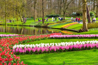 İnsanlar yürüyüş ve bahar bahçe Keukenhof, Lisse, Hollanda fotoğrafları yapma