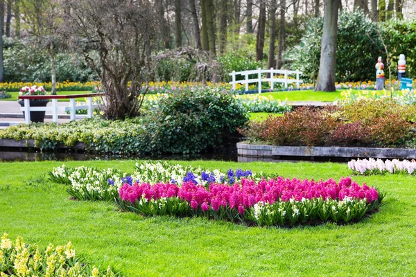 Fleurs colorées fleurissent dans le jardin de printemps néerlandais Keukenhof, Hollande — Photo