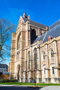 St Salvators Katedrali Bruges, Belçika