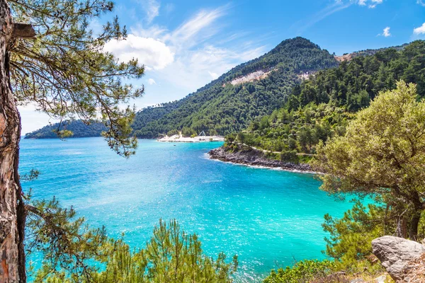 Turkuaz deniz su bay, nountains, çam ağaçları ile yaz tatil arka plan
