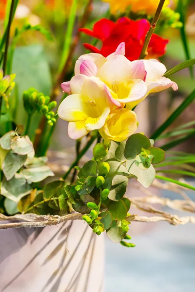 Vibrant flower pink with yellow alstroemeria background — Stock Photo, Image