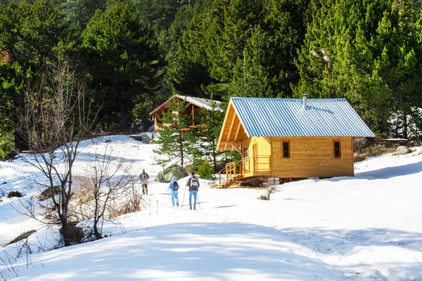 Wooden alpine chalet, snow, green pine trees, tourists — Stock Photo, Image