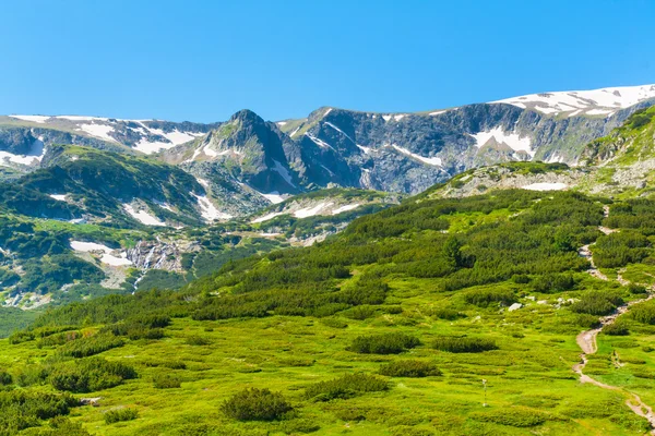 ブルガリアのリラ湖で春の緑の葉と雪の山 — ストック写真