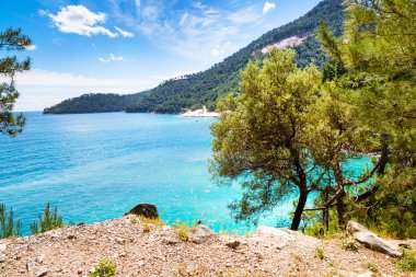 Turkuaz deniz su bay, nountains, çam ağaçları ile yaz tatil arka plan