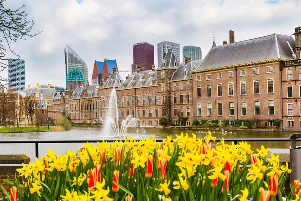 议会和法院大楼复杂宾内的堆夫在海牙，荷兰 — 图库照片